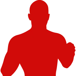 Fighter